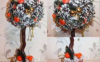 Красивый осенний топиарий из шишки и листвы: дополняем интерьер вместе