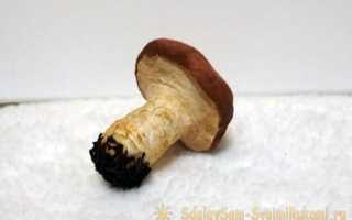 Гриб сделать из ваты смотреть пошагово. МК «Грибочки» из ваты