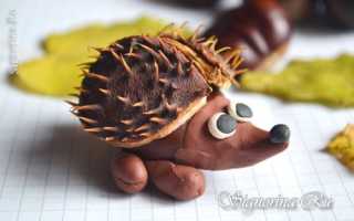 Поделка «Ежик» своими руками: фото, материалы, инструкция