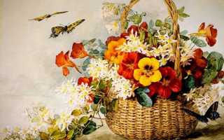 Картинки для декупажа: кухня, цветы, винтаж и ретро, розы шебби, кошки, бабочки