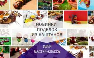 Поделки из каштанов: 95 фото идей для детей всех возрастов и инструкция по их реализации