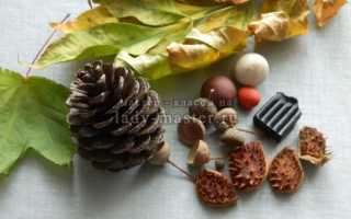 Как сделать мишку из шишек сосны пошагово. Как пошагово сделать поделки из шишек: детские и новогодние игрушки, дерево, медведь, лиса и другие идеи для вдохновения