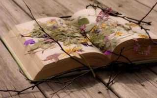 Осеннее панно своими руками: идеи, материалы, мастер-классы