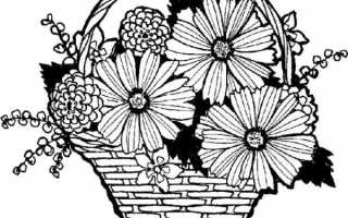 Осенний букет рисуем поэтапно – Как нарисовать осенний букет?