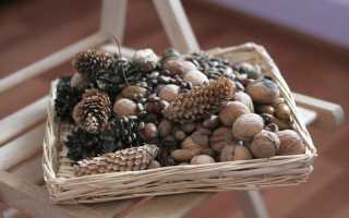 Мастер-класс по созданию осеннего топиария своими руками