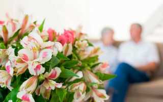 Креативные идеи модных букетов цветов – лучшие цветочные композиции на фото