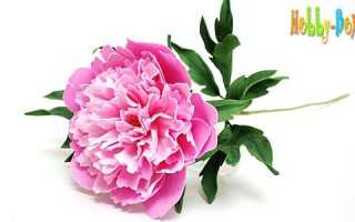 Как смастерить пион из фоамирана: 9 дельных советов