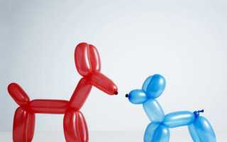 Идеи поделок из воздушных шаров с поэтапным описанием работы и фото