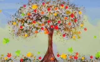 Поделки из бросового материала: поэтапный мастер-класс по изготовлению своими руками, идеи поделок для школы и садика