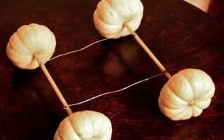 Карета из тыквы своими руками: мастер-класс, пошаговая инструкция. Осенние поделки из овощей