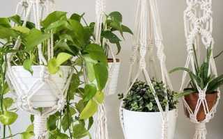 Обвязать цветочные горшки. Вязаное кашпо крючком своими руками. Девять схем для вязания. Теперь приступим к вязанию кашпо