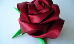 Поделки из атласных лент: 160 фото и видео лучших поделок для начинающих и мастеров