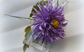 Астра из фоамирана: мастер класс как сделать своими руками, букет игольчатых, видео, выкройки и шаблоны цветов