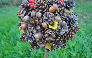 Лепка из пластилина. Еловая ветка с шишками методическая разработка по технологии (2 класс) на тему