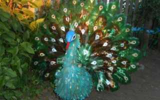 ПОДЕЛКИ ИЗ ПЕРЬЕВ ПТИЦ материал по технологии на тему