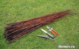 Технология плетения из лозы: заготовка прутьев, мастер-класс для начинающих, изготовление корзины пошагово