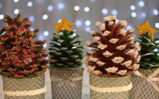 Новогодние поделки из шишек: украшаем дом к празднику