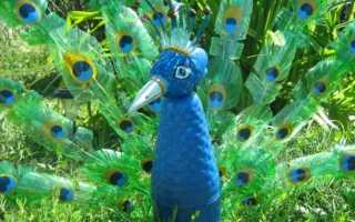 Поделки из пластиковых бутылок: красивые украшения сада и варианты использования пластика (75 фото + видео)