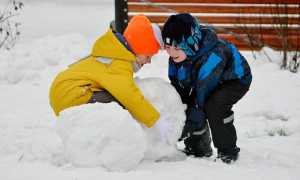 Проект по дошкольному воспитанию «Зимние поделки из снега»