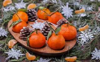 Поделки из шишек: преимущества материала, мастер-класс по созданию простых поделок, шаблоны и схемы для начинающих (100 фото)