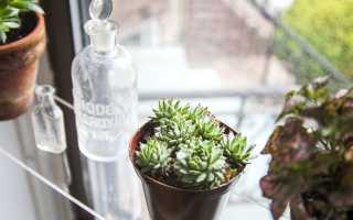 Мастер-классы для вас: пошаговые инструкции, как сделать подставки для цветов своими руками