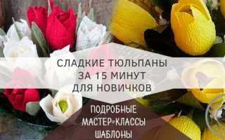 Тюльпаны из конфет и гофрированной бумаги. Тюльпаны из конфет: мастер-класс