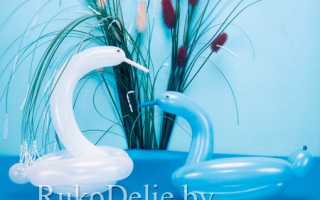 Поделки из воздушных шариков своими руками — советы по надуванию и скручиванию, мастер-классы и фото идеи