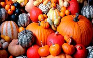 Поделки из тыквы на выставку в школу и для детского сада. 80 самых красивых осенних идей