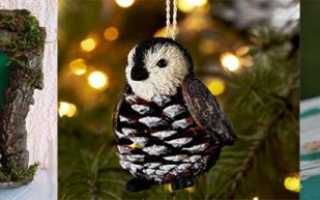 Поделки из шишек своими руками для детского сада, школы. Мастер-класс пошагово: животные быстро и красиво