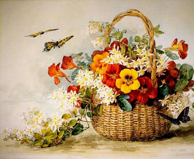 Цветы на картинке для декупажа должны гармонично сочетаться по цвету и форме друг с другом