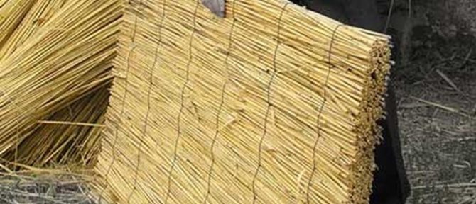 Изделия Из Камыша Своими Руками Мастер Класс