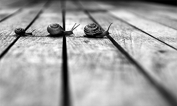 ОСНОВЫ КОМПОЗИЦИИ: Геометрия в фотографии - PhotoDzen.com