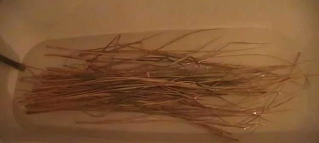 Поделки из камыша своими руками: мастер класс c фото