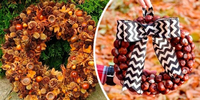 поделки из каштанов