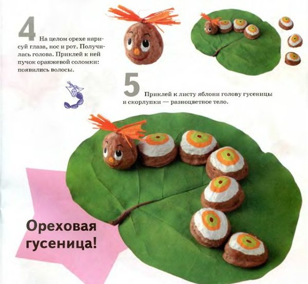 Поделки из скорлупы грецкого ореха, пластилина, шишек своими руками для детей