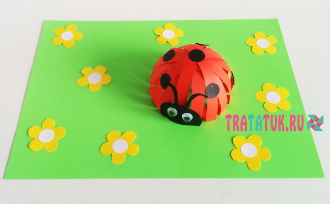 Объемная аппликация божья коровка