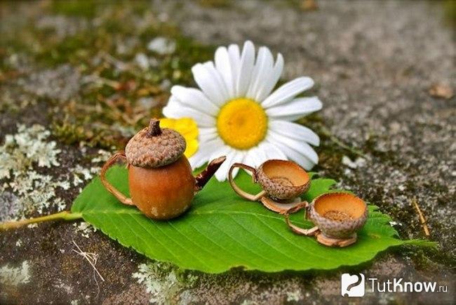 Вариант посуды для кукол из жёлудей